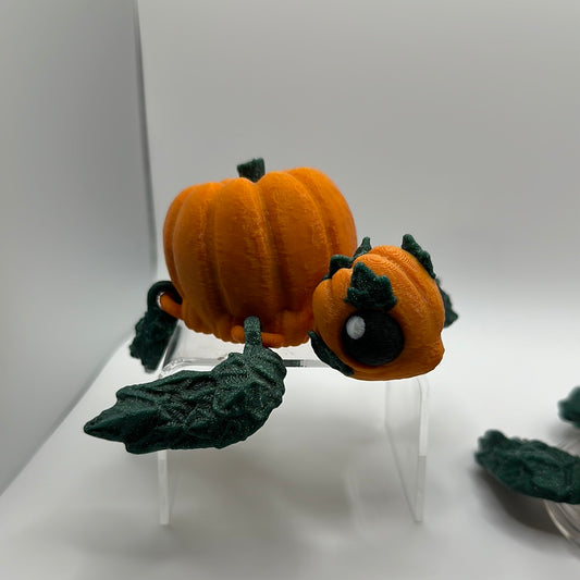 Pumpkin Turtle