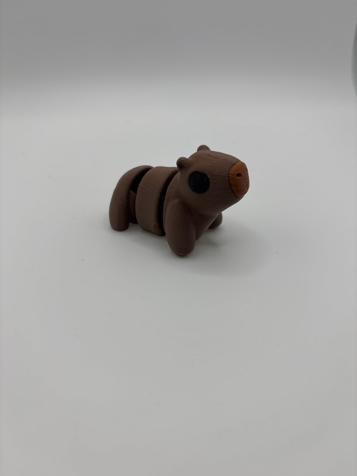 Capybara Compass Set Mini Capybara – SET Works