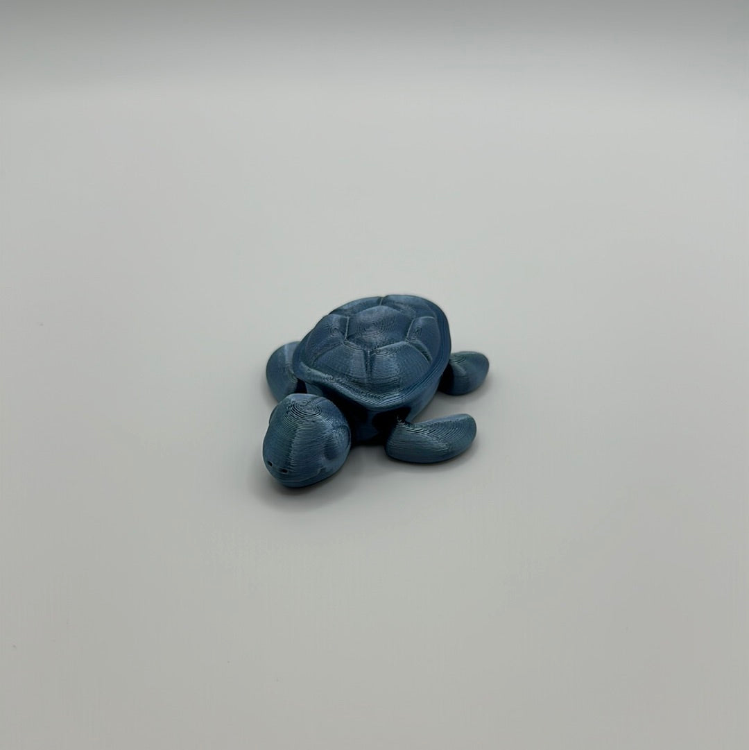 Tiny Turtle