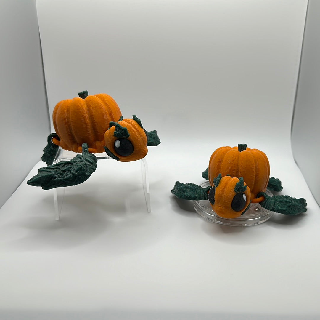 Pumpkin Turtle