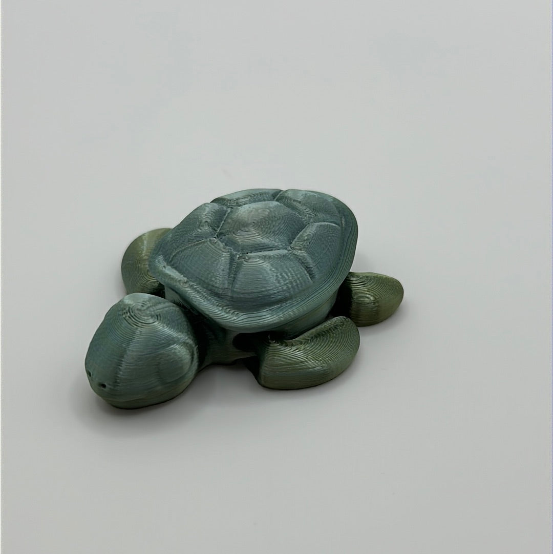 Tiny Turtle