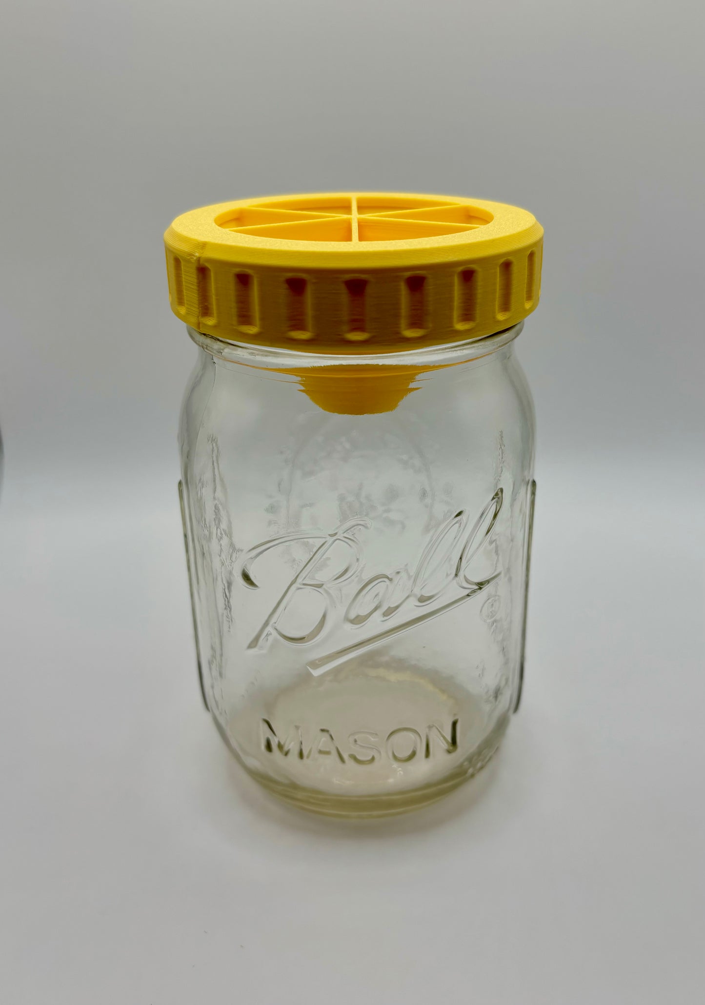 Mason Jar Fruit Fly Trap