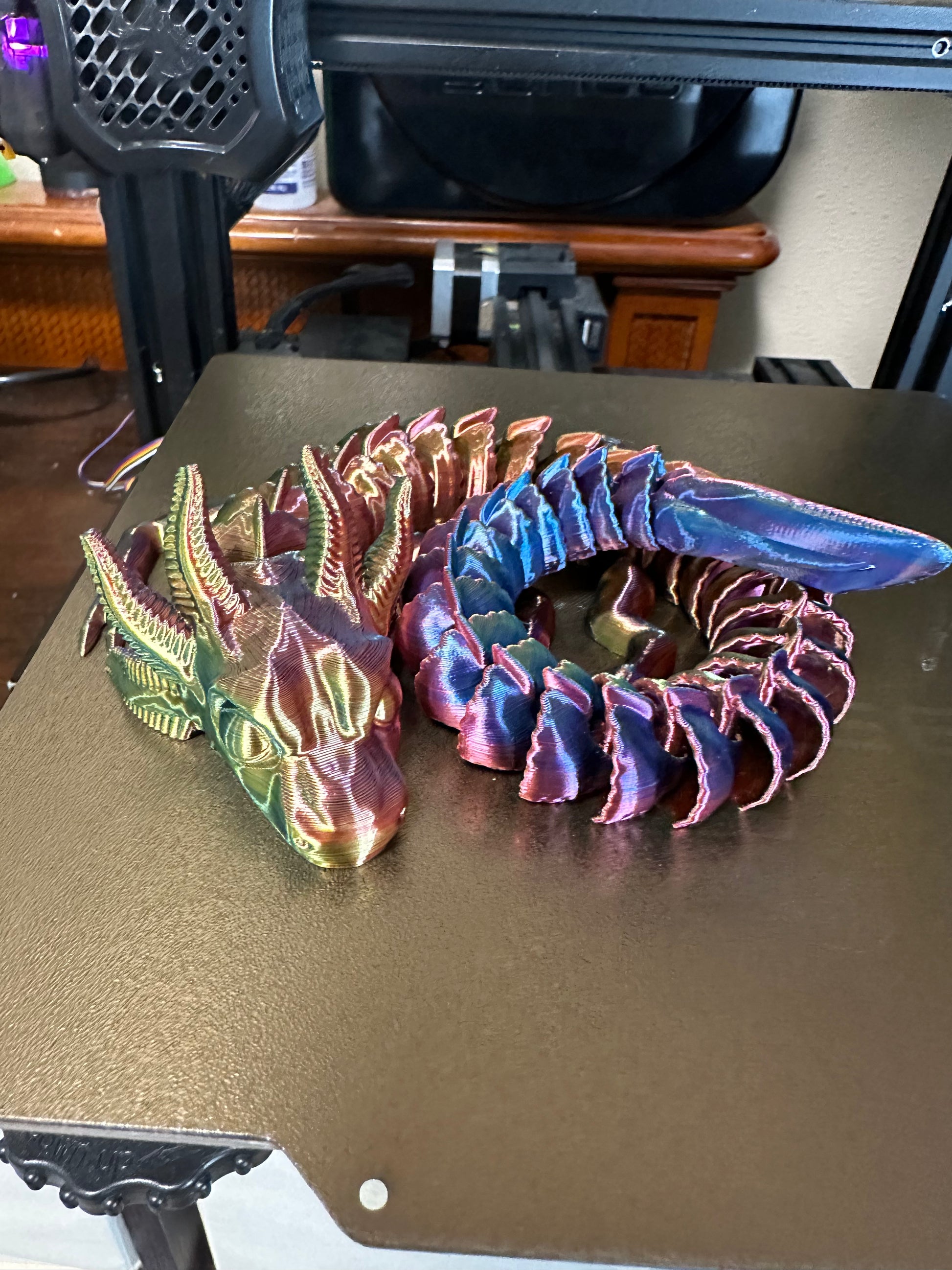 Axolotl Dragon – SET Works